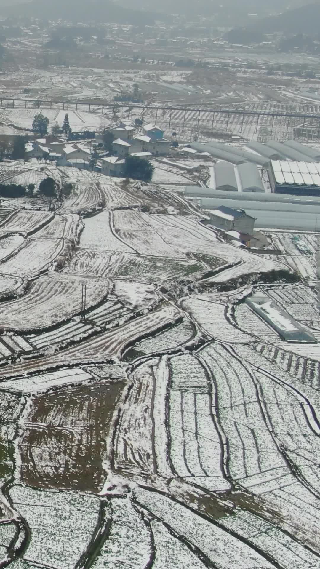 冬天农田雪景竖屏航拍视频的预览图