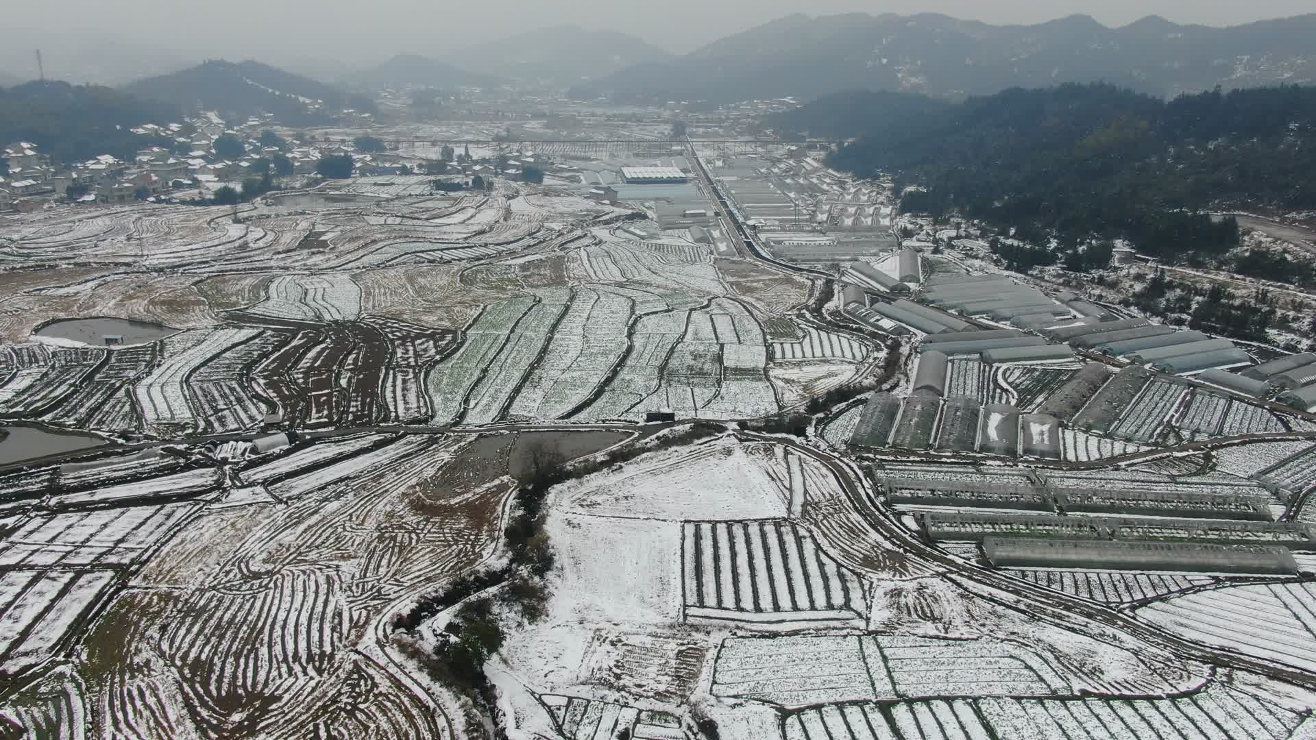 航拍美丽乡村农田雪景视频的预览图