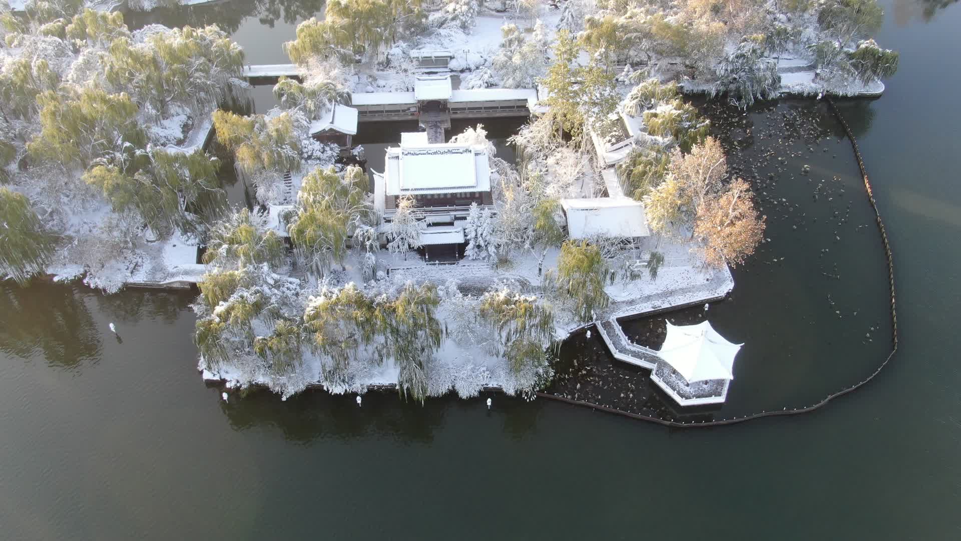 航拍山东济南大明湖小岛雪景视频的预览图
