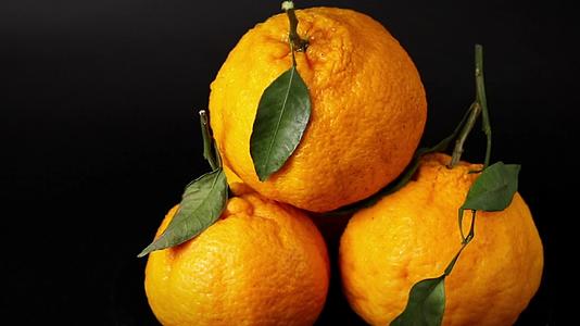 粑粑柑丑橘视频的预览图