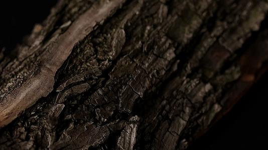树皮龟裂木头纹理裂纹视频的预览图