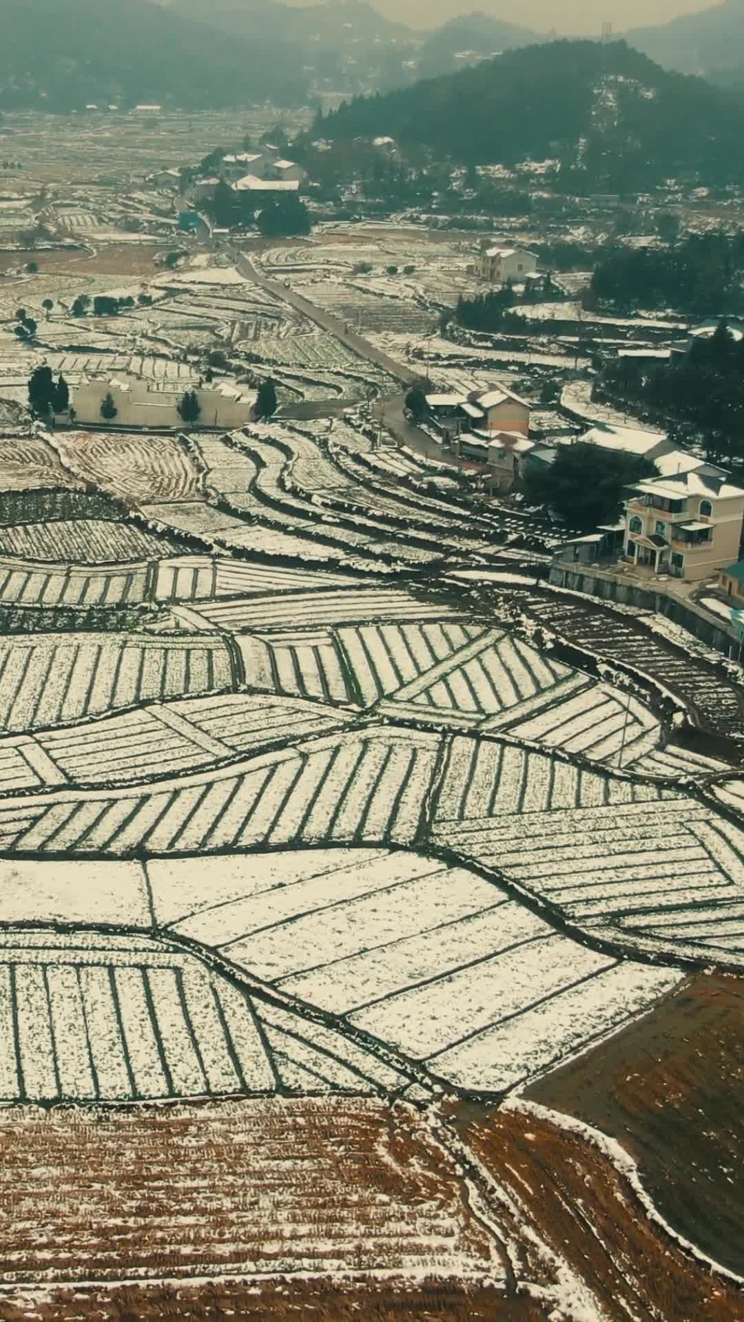 航拍美丽乡村田园农业种植农田雪景视频的预览图
