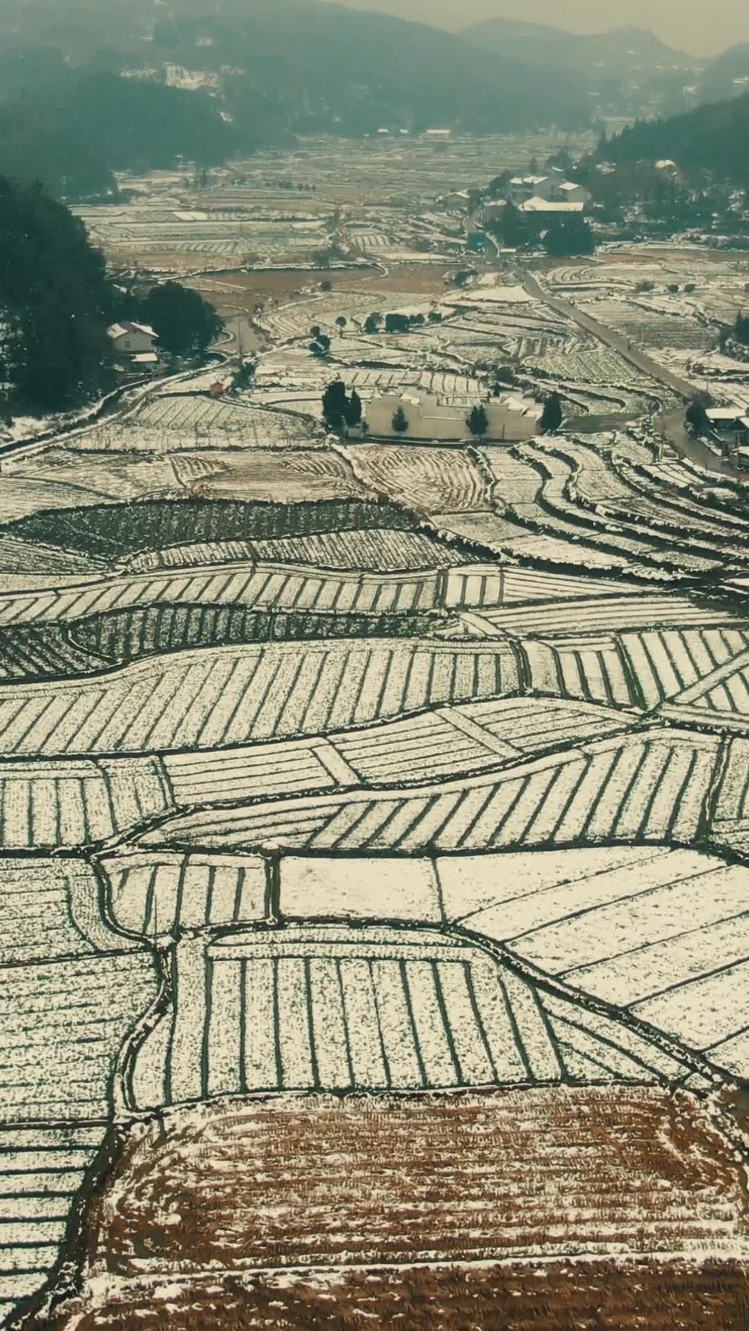 航拍美丽乡村田园农业种植农田雪景视频的预览图