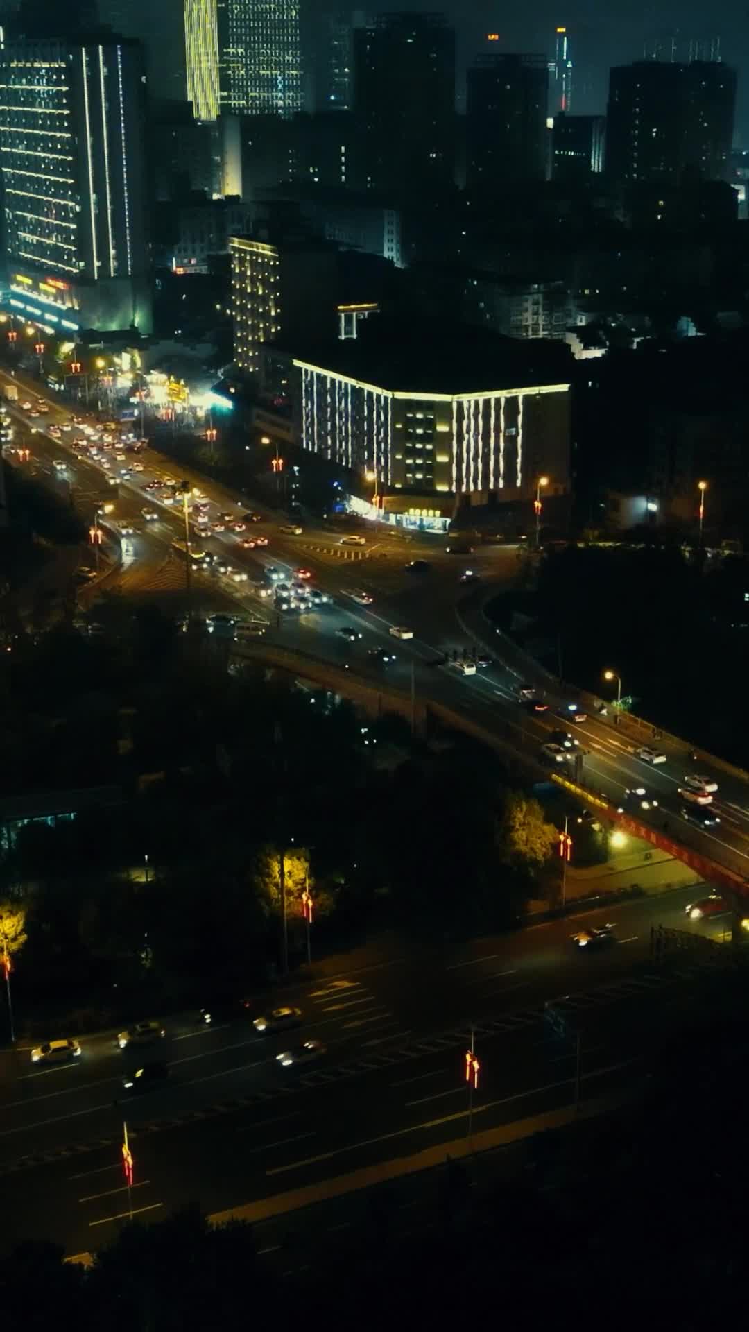 湖南长沙橘子洲大桥夜景竖屏航拍视频的预览图