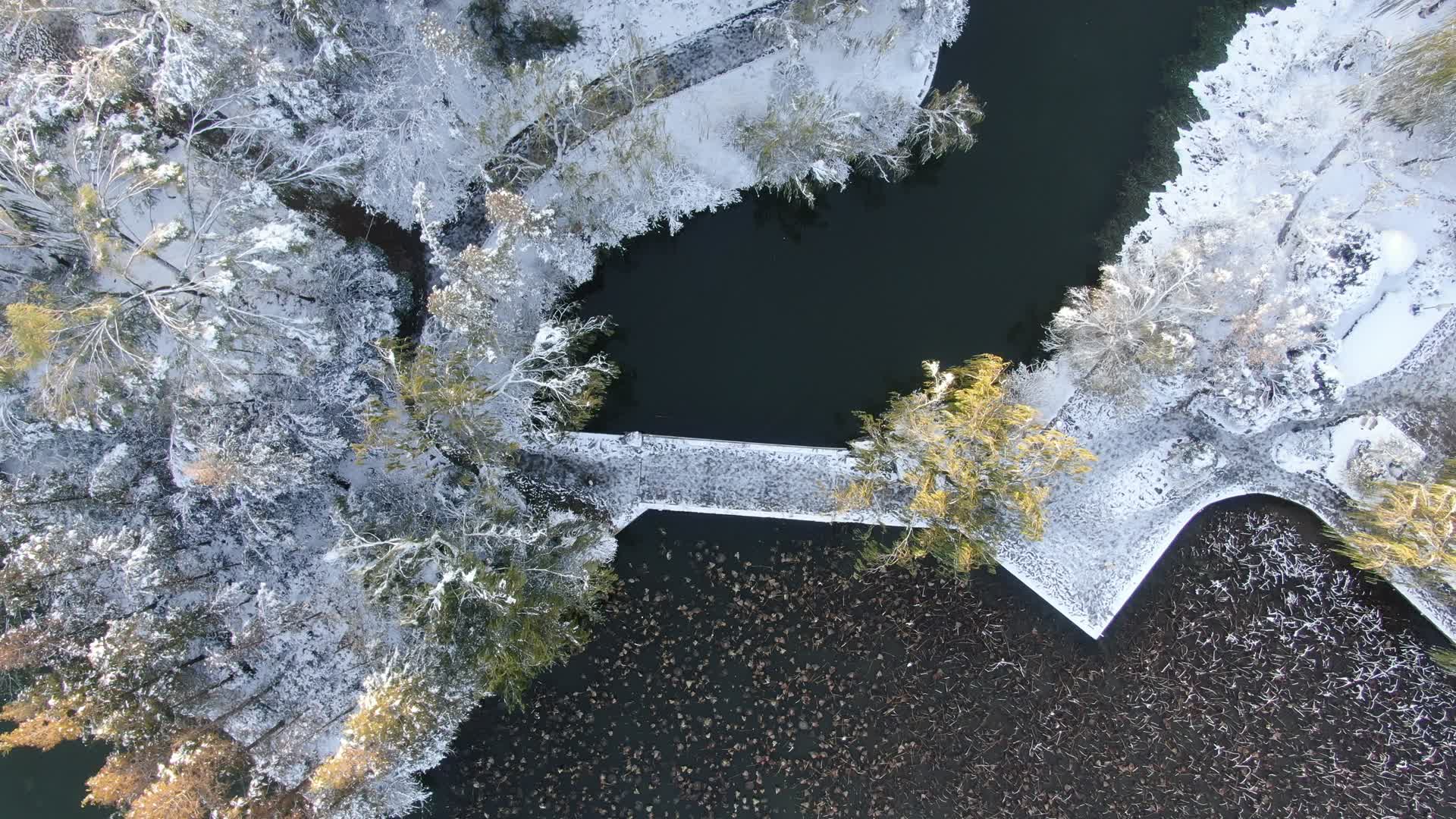 航拍山东济南大明湖5A景区视频的预览图