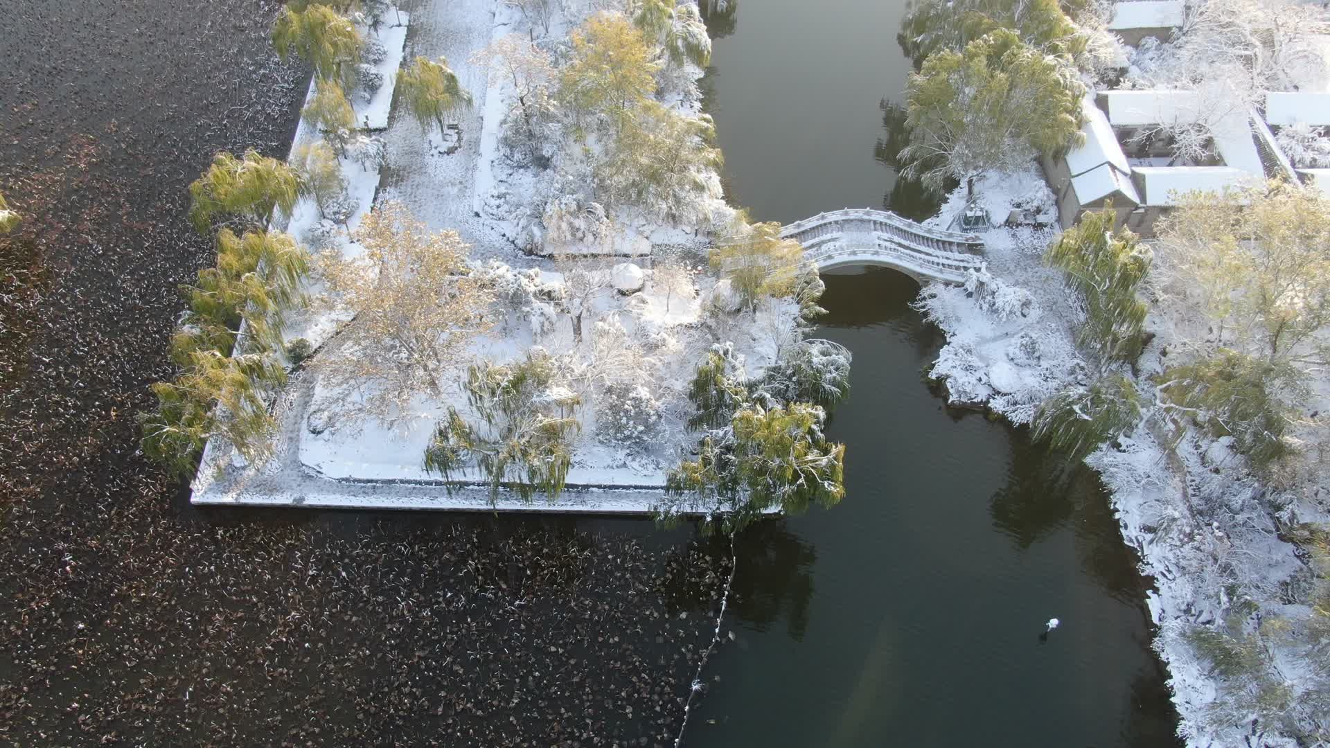 航拍园林小桥流水雪景视频的预览图