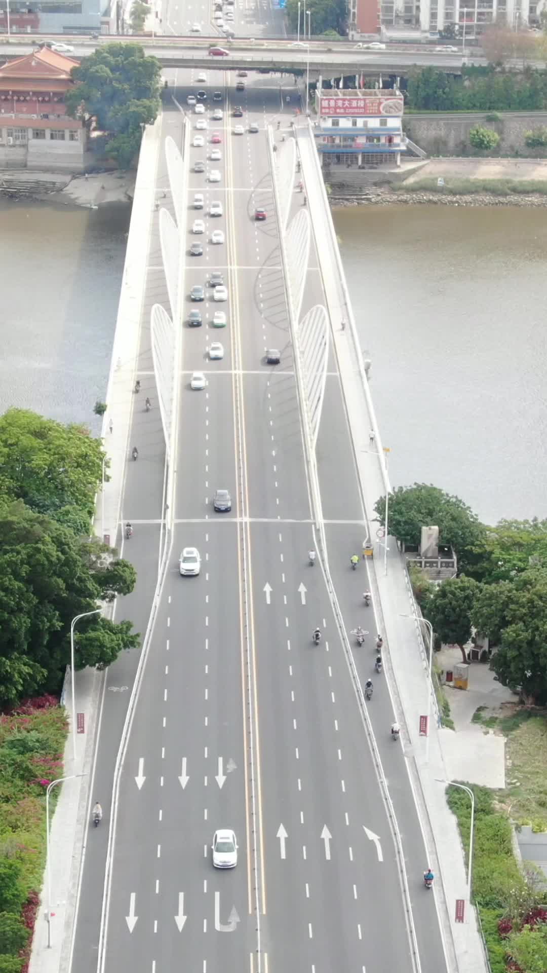 福建泉州笋江大桥竖屏航拍视频的预览图