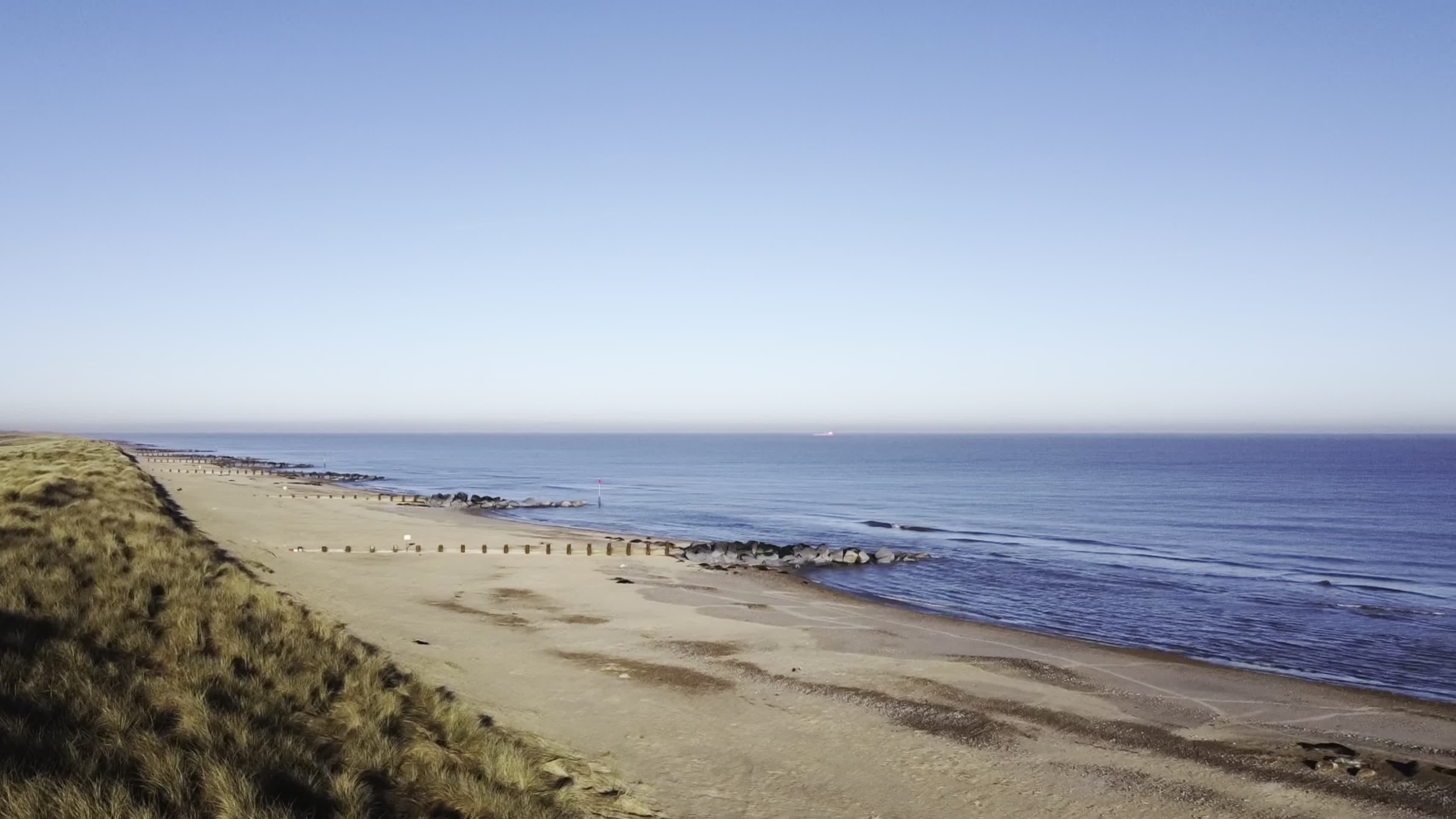 海滩野生海豹航拍视频的预览图
