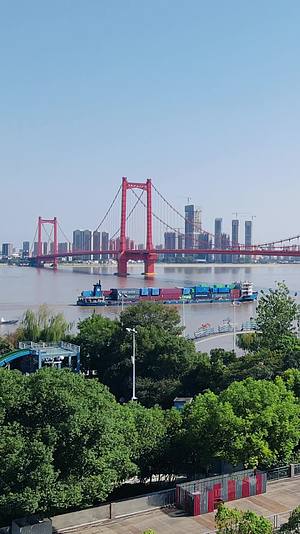 湖北武汉鹦鹉洲长江大桥航拍视频的预览图