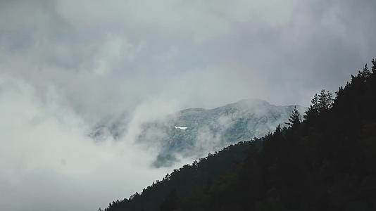 森林湖泊云雾涌动延时视频的预览图