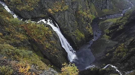 秋季森林河流瀑布视频的预览图