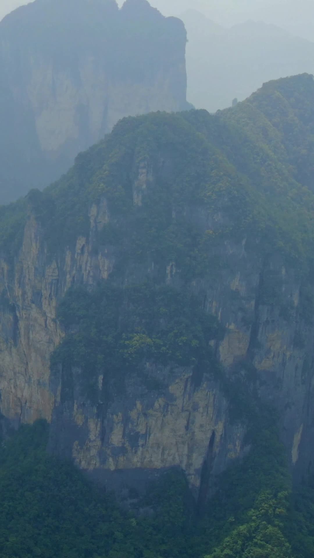 航拍大自然高山森林视频的预览图