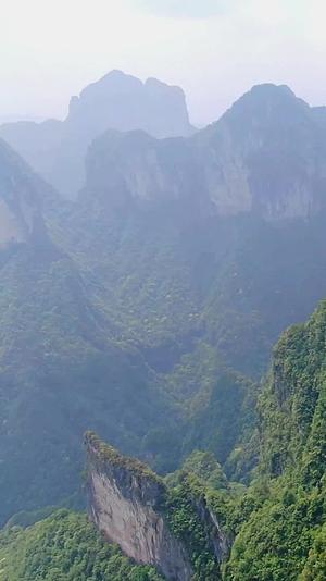 航拍大自然高山森林视频的预览图