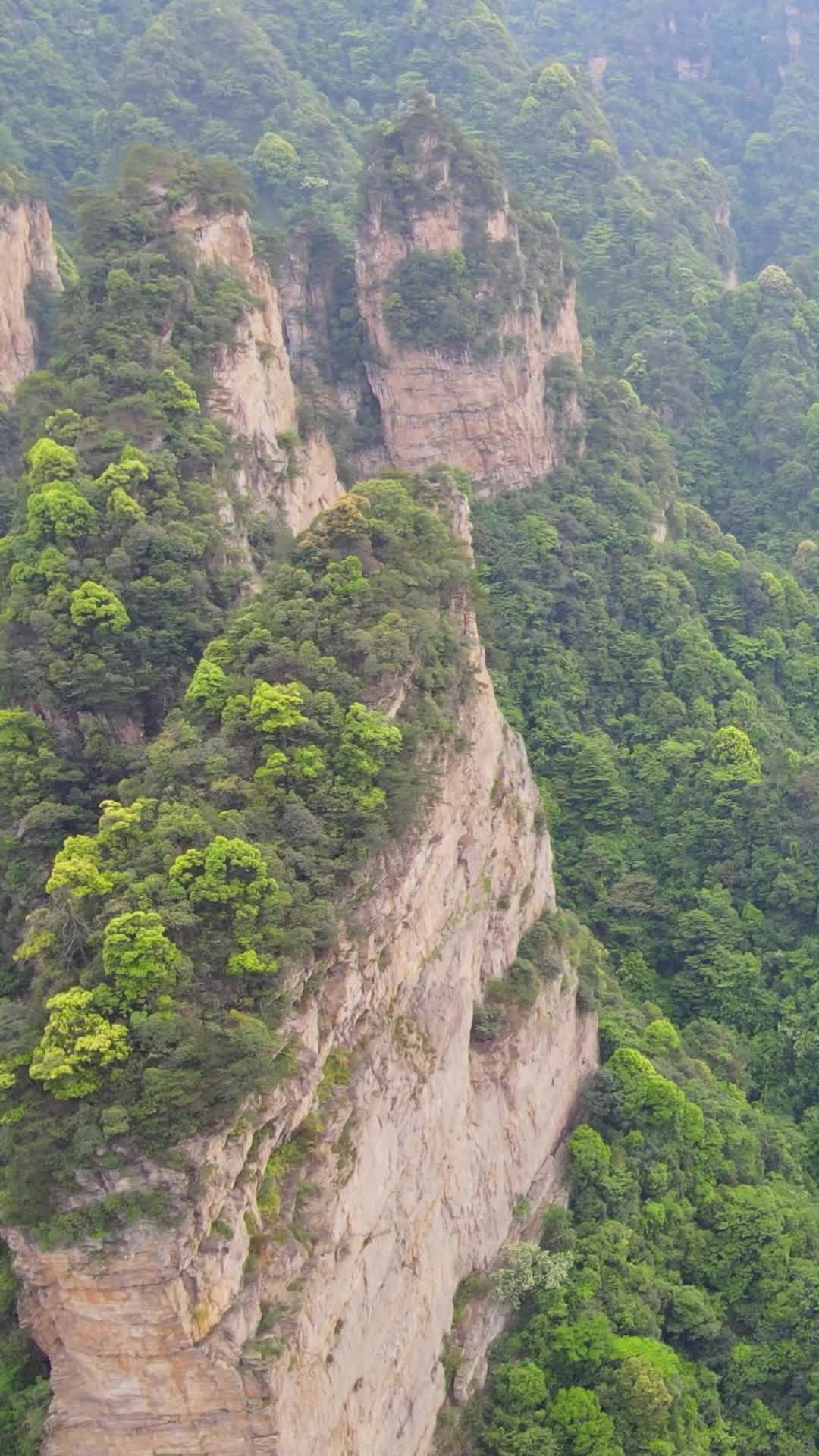 航拍奇山怪石森林视频的预览图