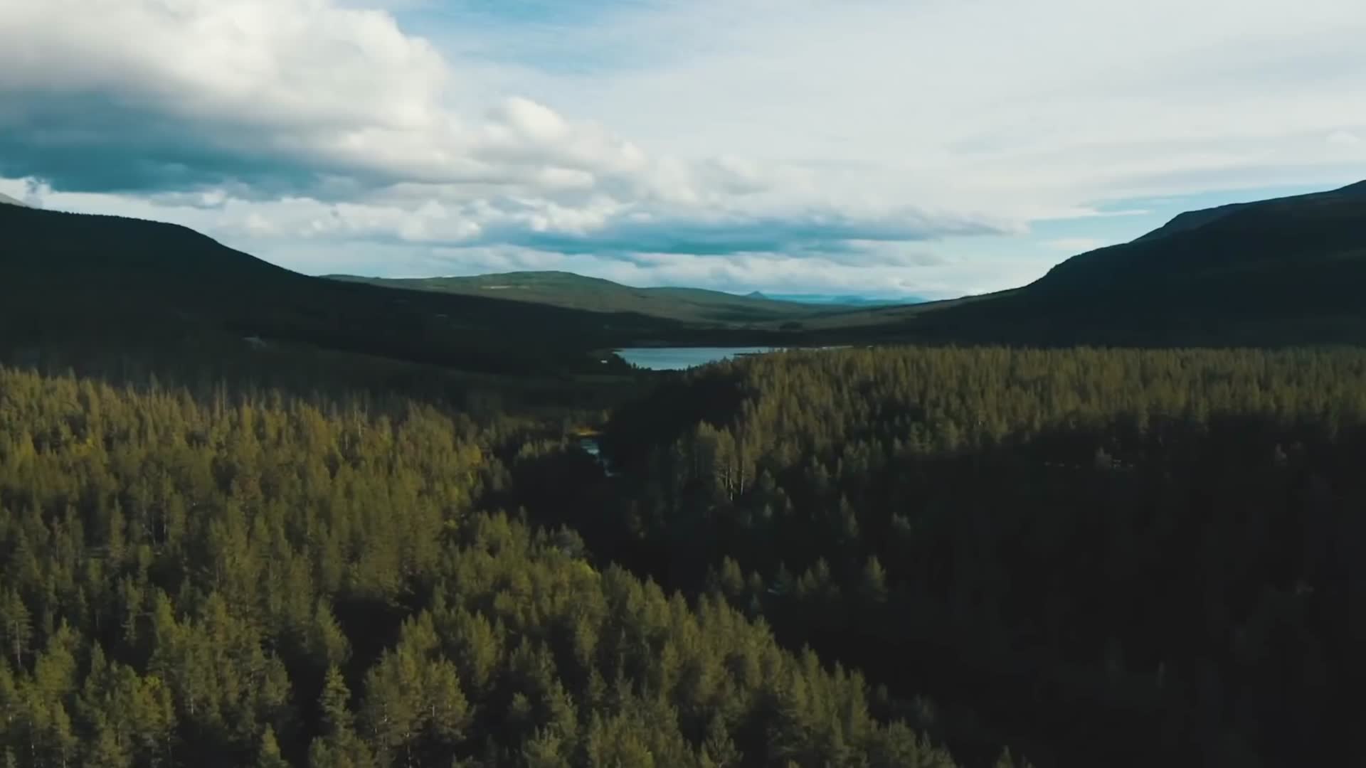 晴朗夏日森林山谷湖泊航拍视频的预览图