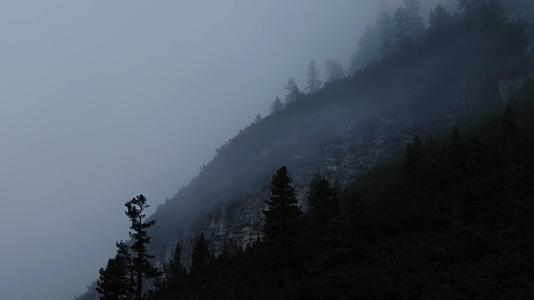 山中森林清晨水汽雾气朦胧视频的预览图