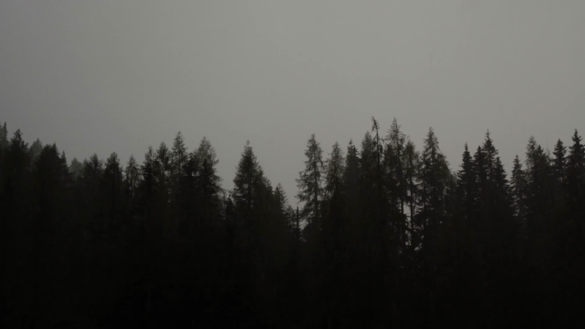 阴天大雨拍打房顶森林松枝雨滴视频的预览图