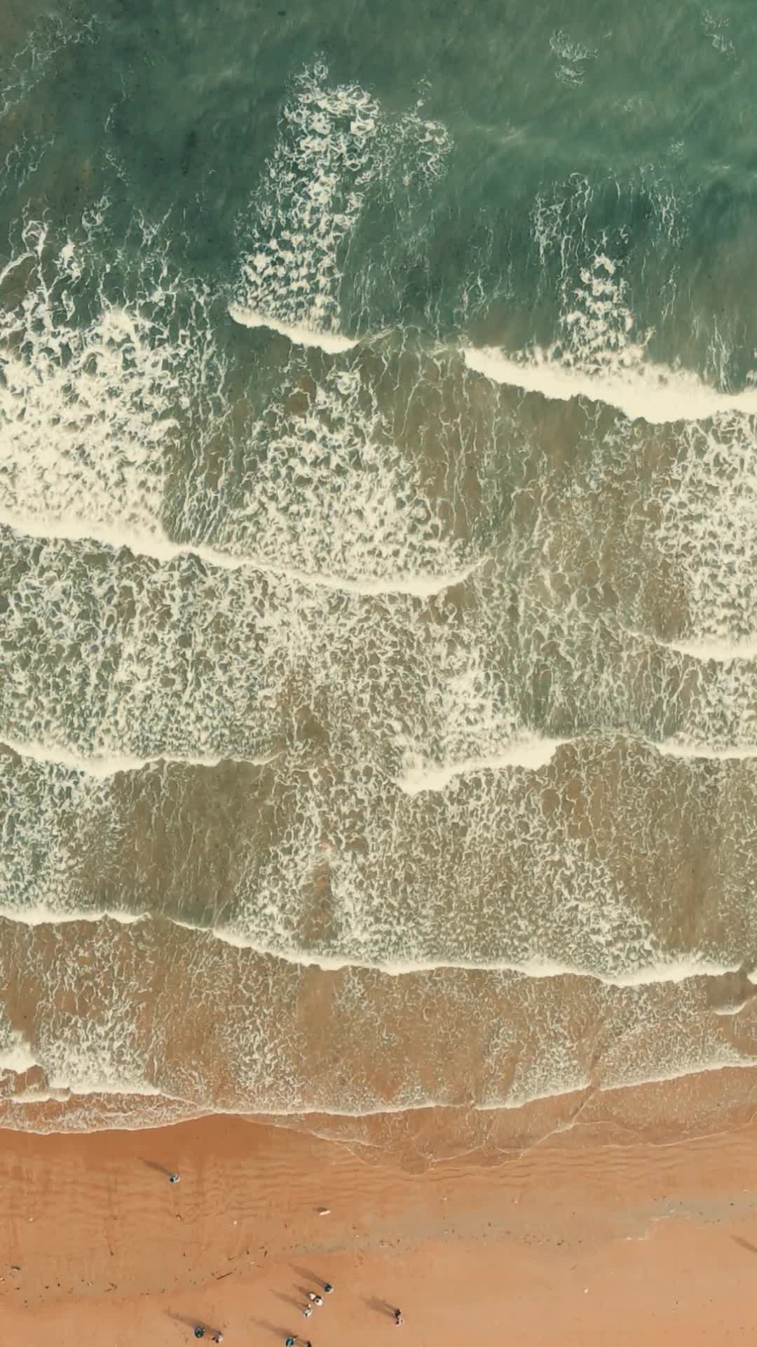 航拍大海海浪沙滩风景视频的预览图