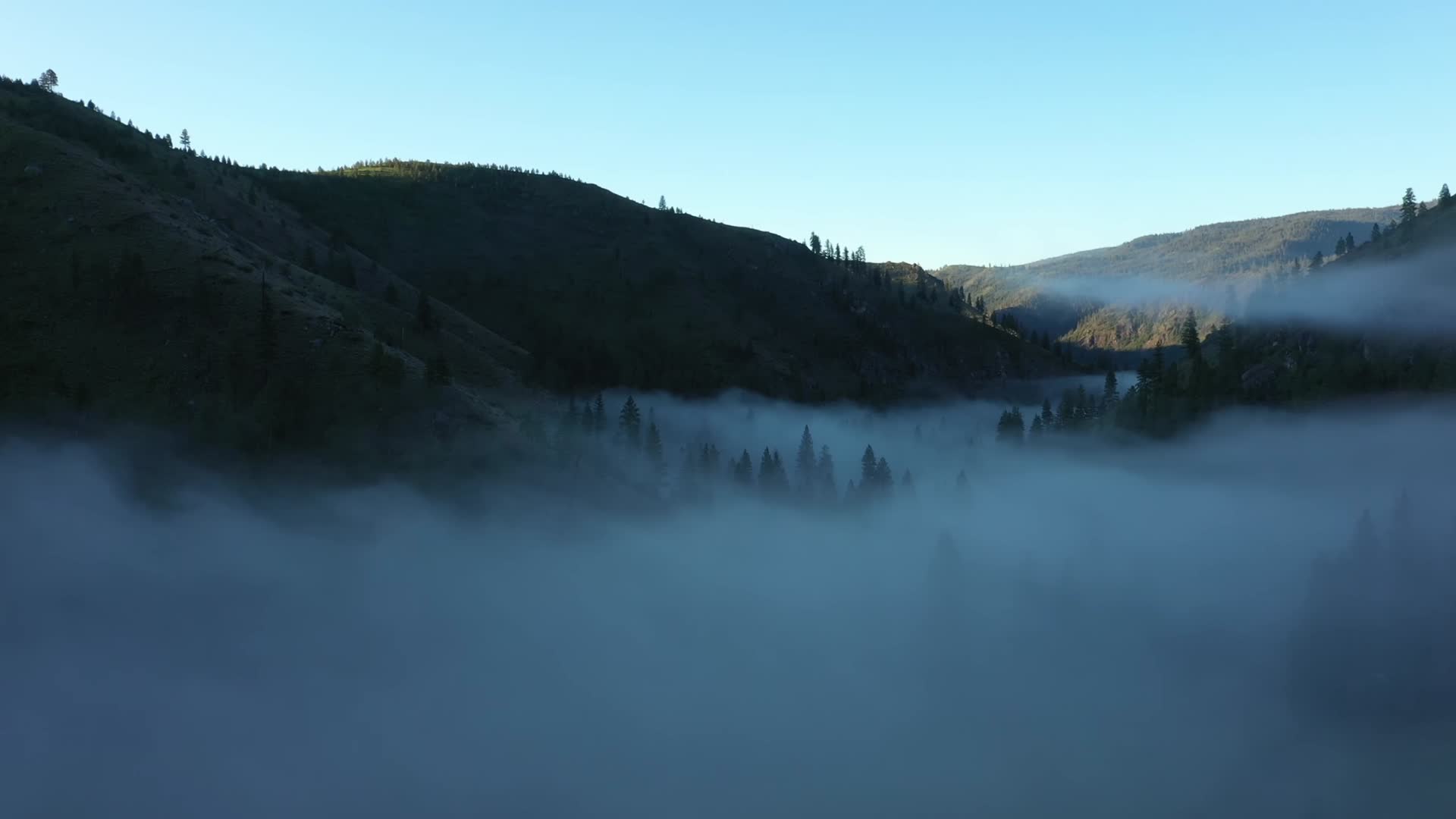 傍晚群山森林云雾航拍视频的预览图