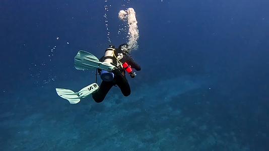 水肺潜水海底景观沉船海龟鱼类视频的预览图