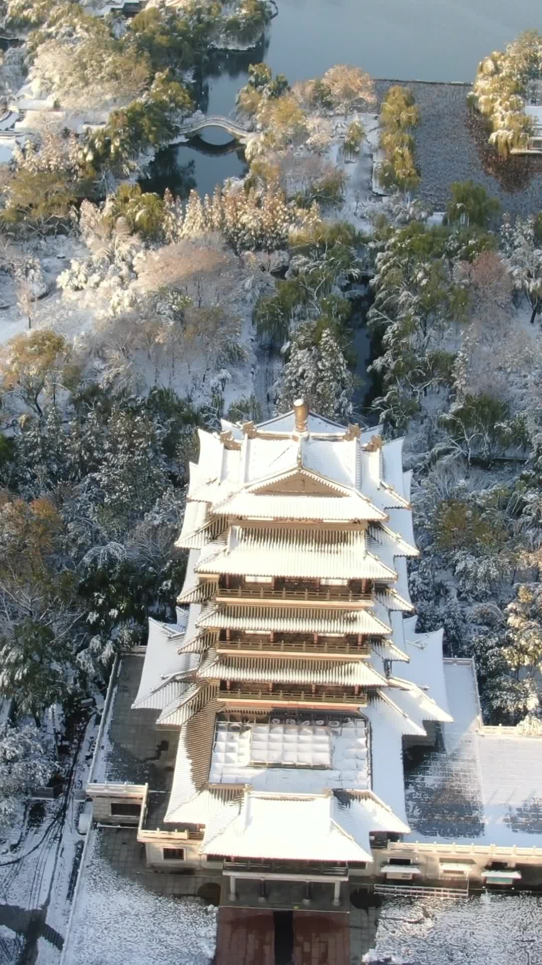 航拍山东济南大明湖5A景区竖屏雪景视频的预览图