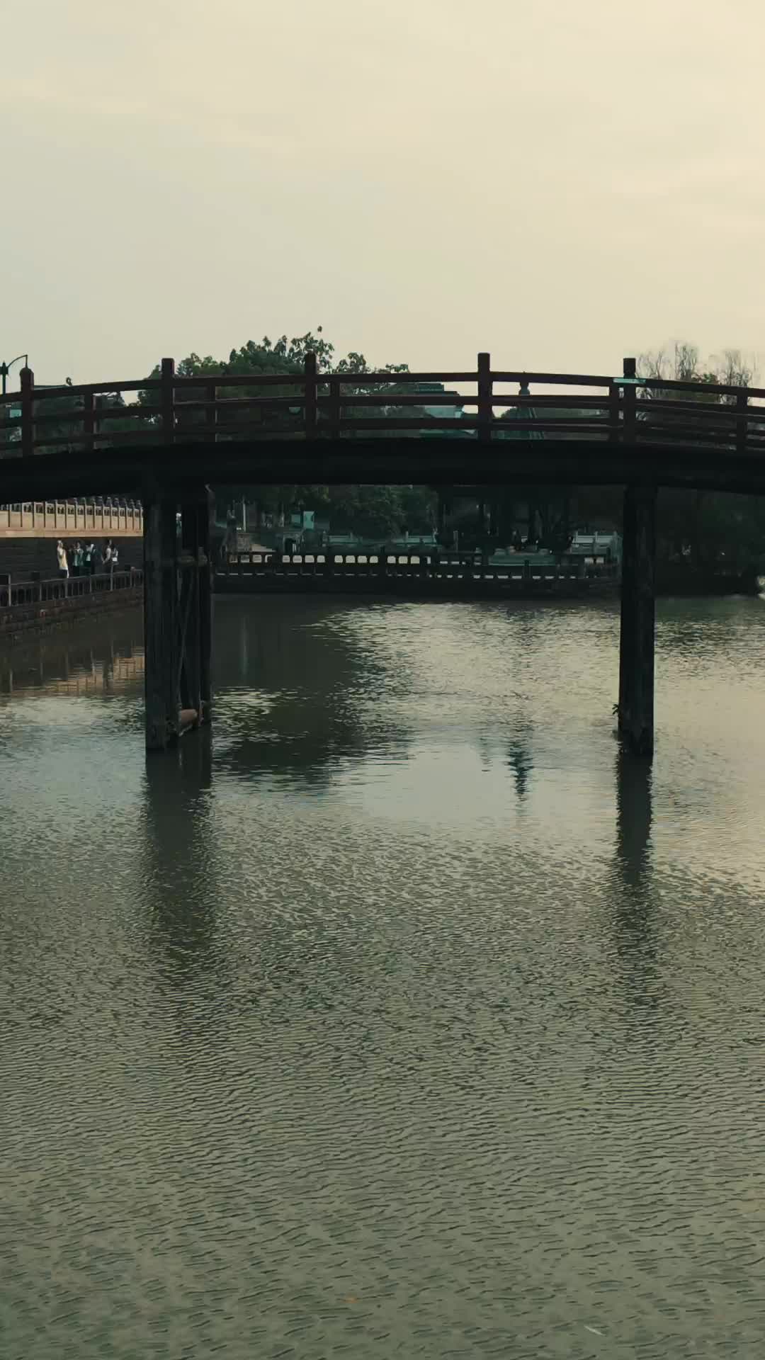 航拍江西南昌八大三人梅湖景区视频的预览图