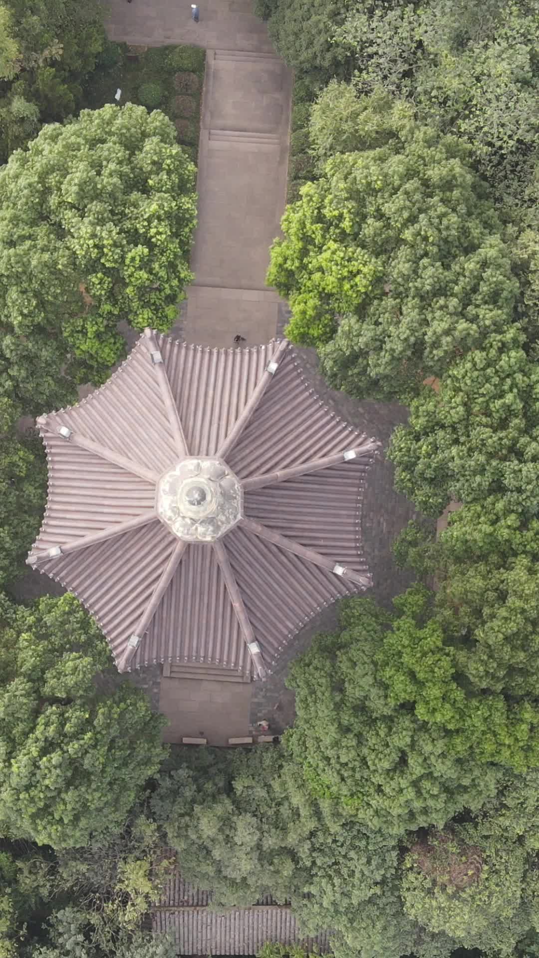 浙江绍兴稽山公园竖屏航拍视频的预览图