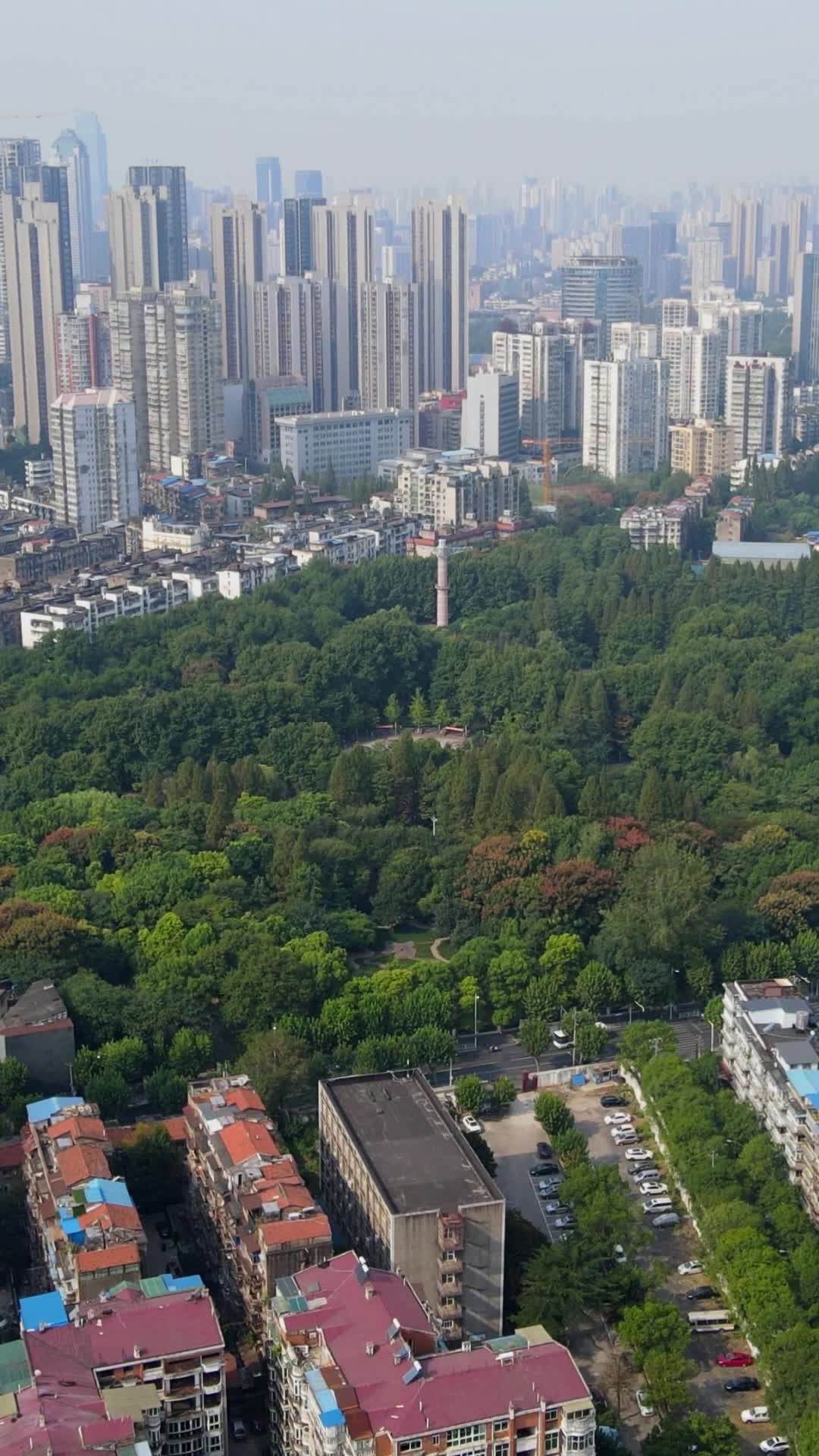 航拍江城武汉城市公园视频的预览图