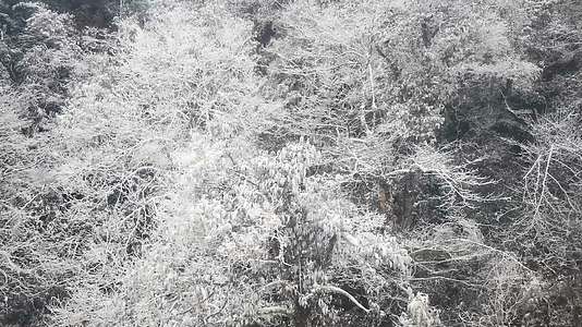 贵州梵净山5A景区冬天雪景视频的预览图