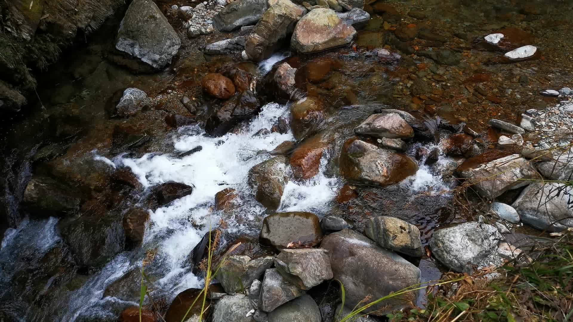 实拍山间溪流流水视频的预览图