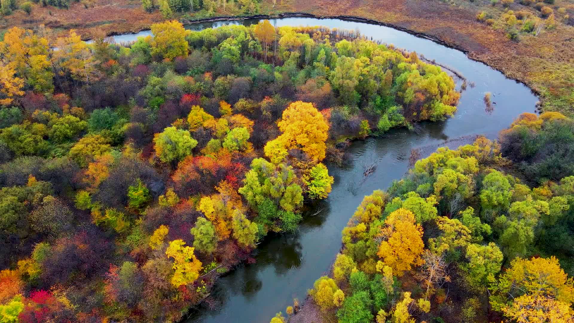卡鲁奔国家湿地公园视频的预览图