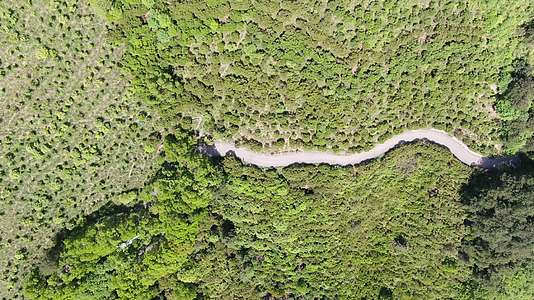 航拍湖南中坡山国家森林公园视频的预览图
