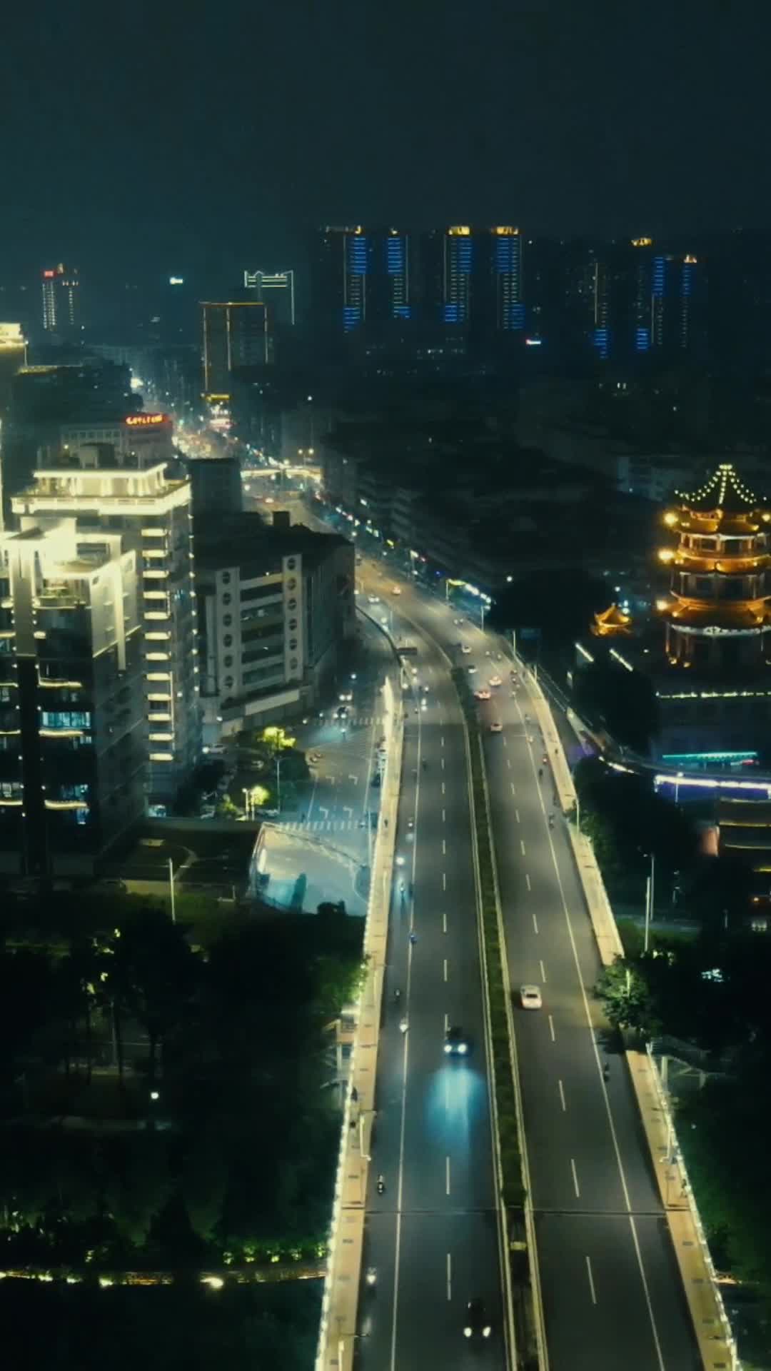福建漳州古城夜景灯光竖屏航拍视频的预览图