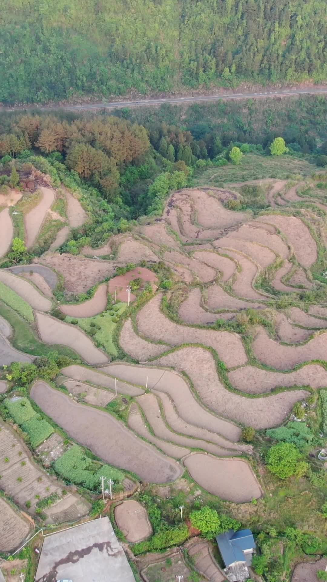 航拍乡村农业种植梯田风光视频的预览图