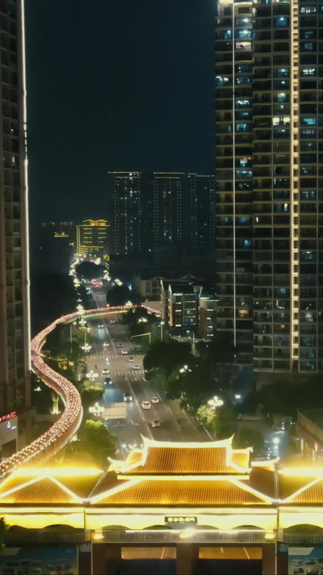 福建漳州城市夜景南山桥航拍视频的预览图