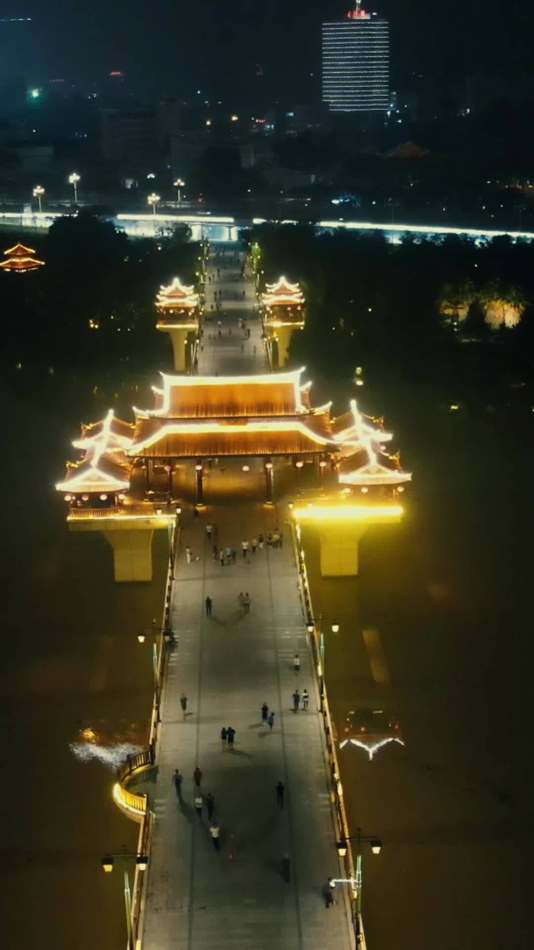 福建漳州城市夜景南山桥航拍视频的预览图