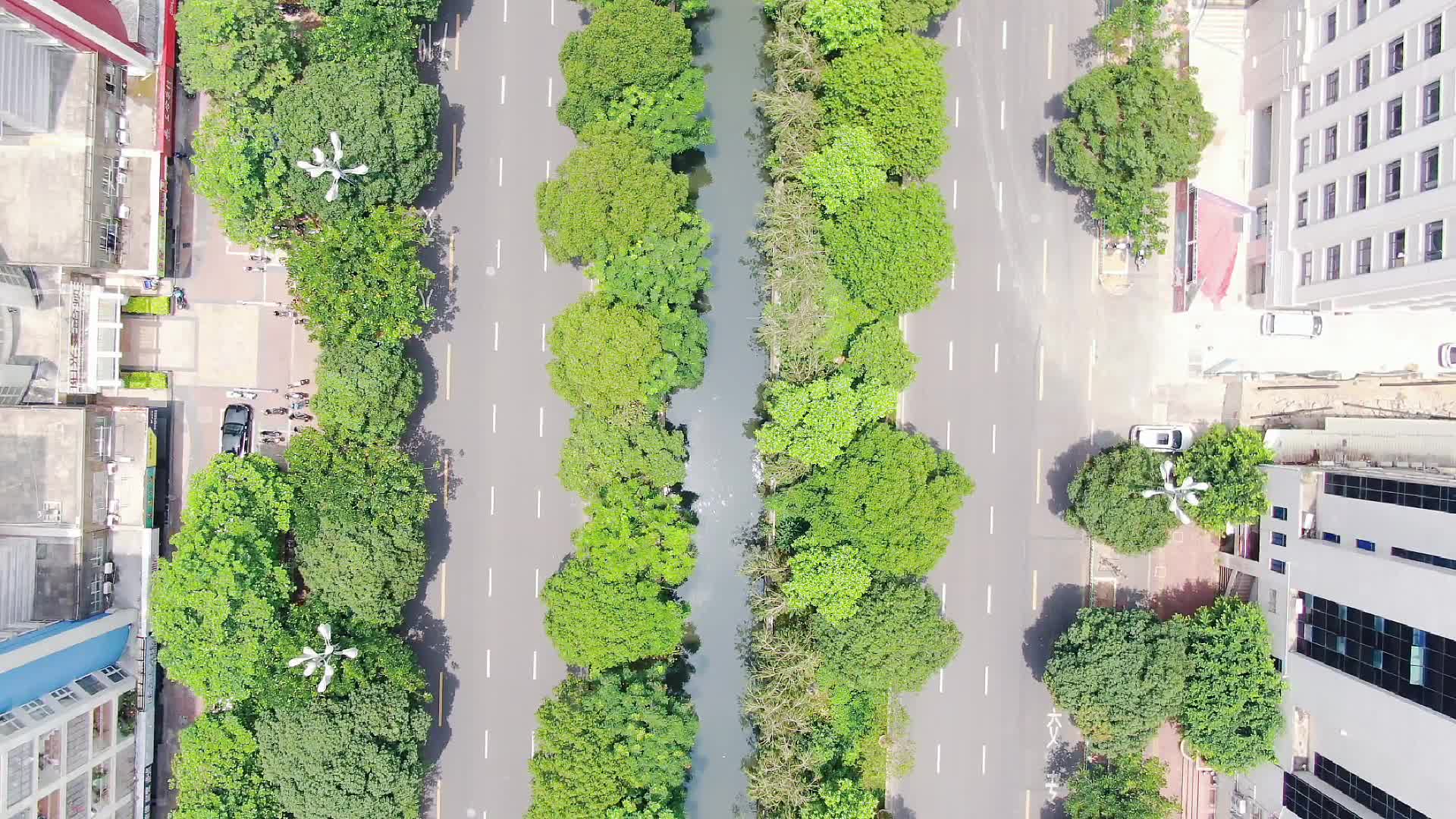 福建泉州城市风光交通绿化高楼建筑竖屏航拍视频的预览图
