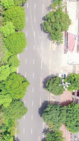 福建泉州城市风光交通绿化高楼建筑竖屏航拍视频的预览图