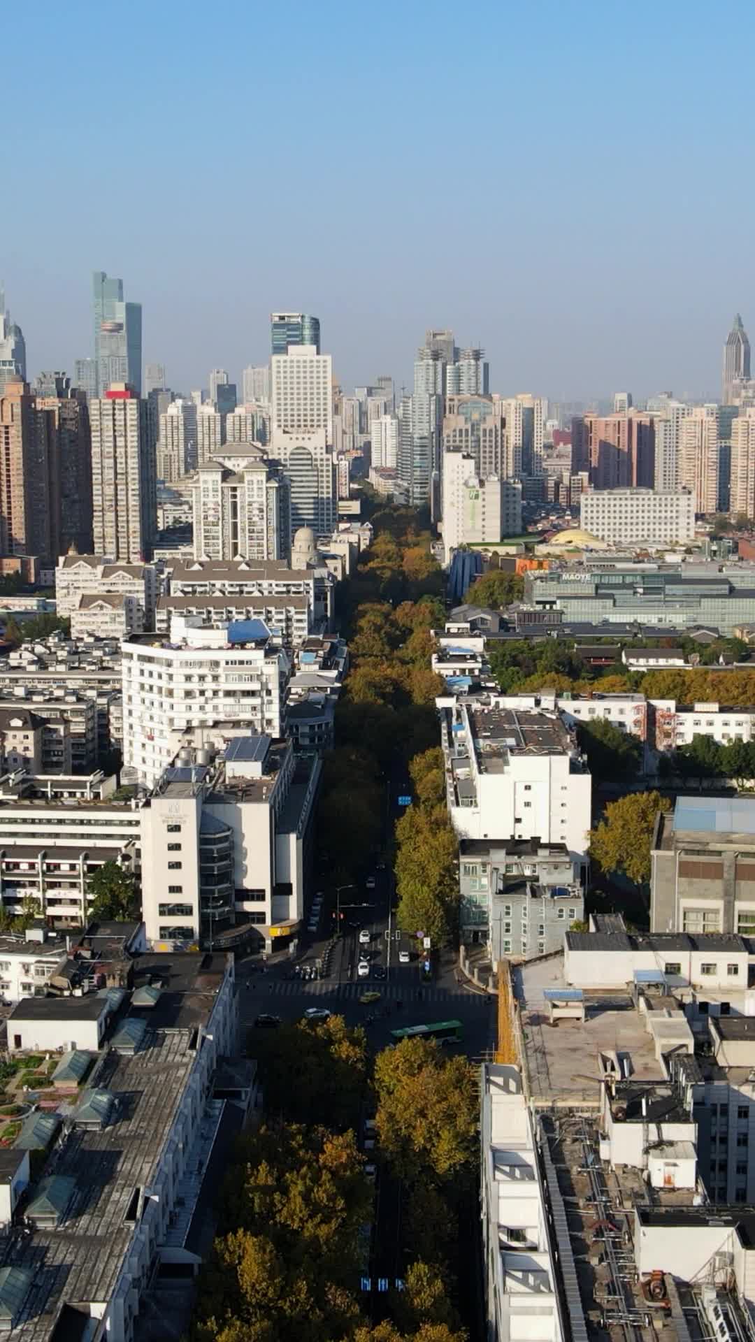 航拍江苏南京城市大道交通绿化视频的预览图