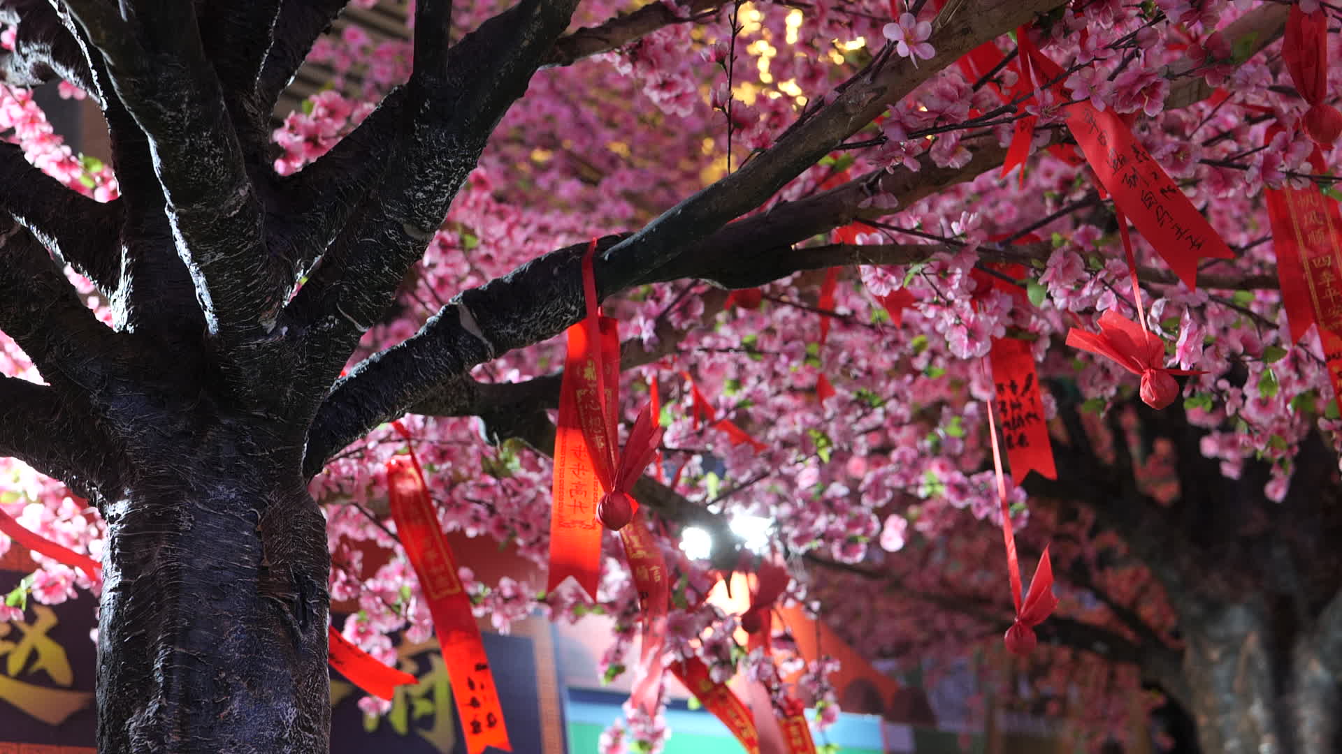 春天夜晚桃树姻缘树4K空镜视频的预览图