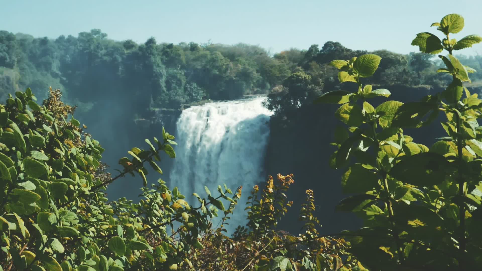 原始森林大瀑布水雾彩虹视频的预览图