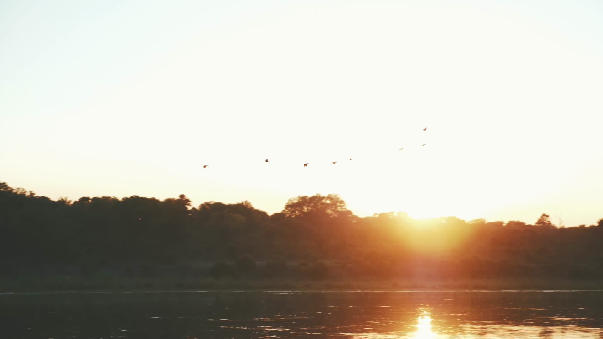 傍晚森林湖面唯美落日夕阳合集视频的预览图