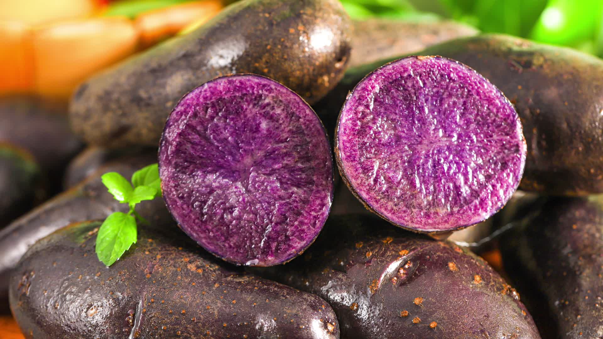 紫土豆视频的预览图