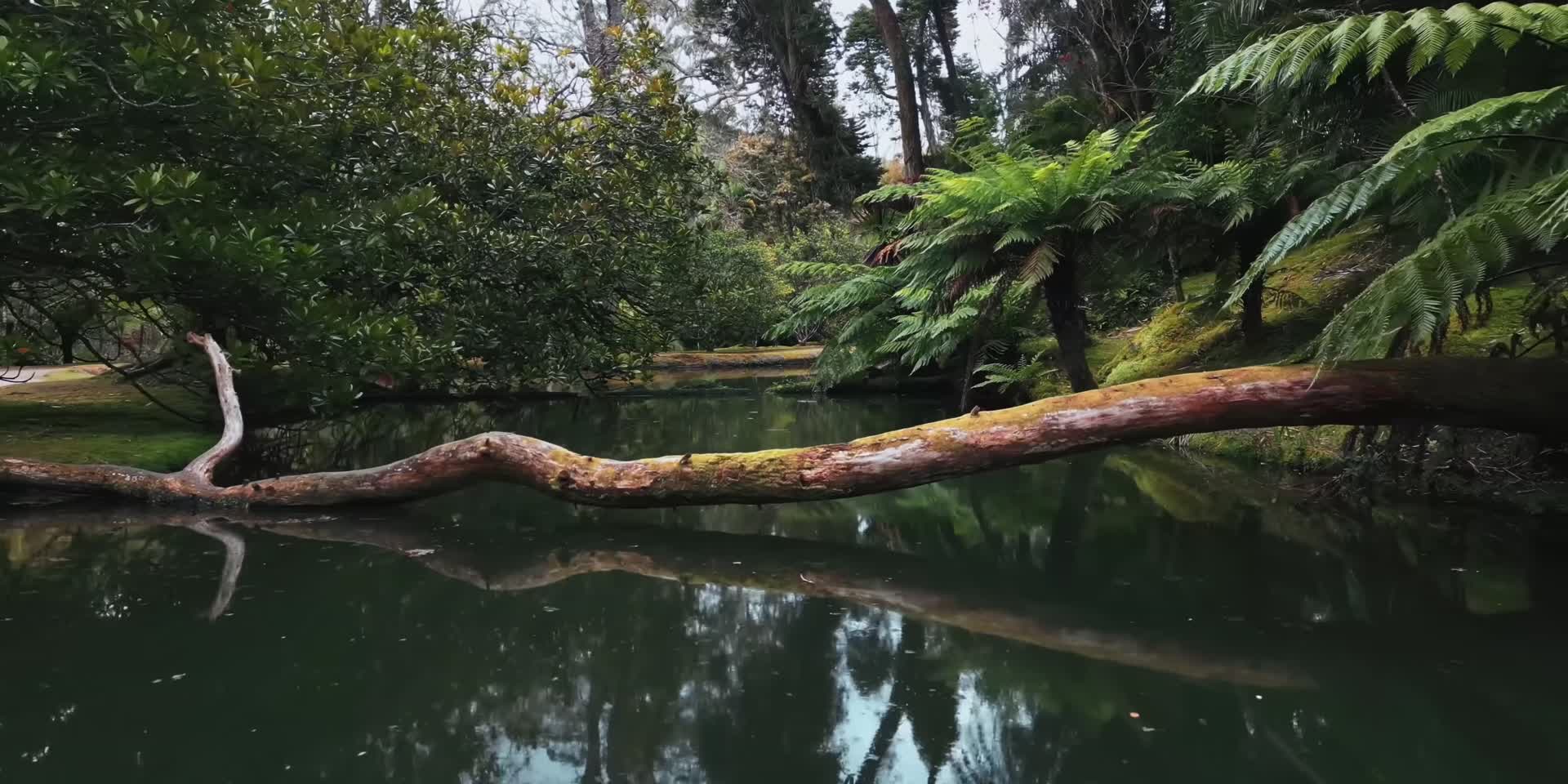 山间树林池塘湖泊河水瀑布航拍视频的预览图
