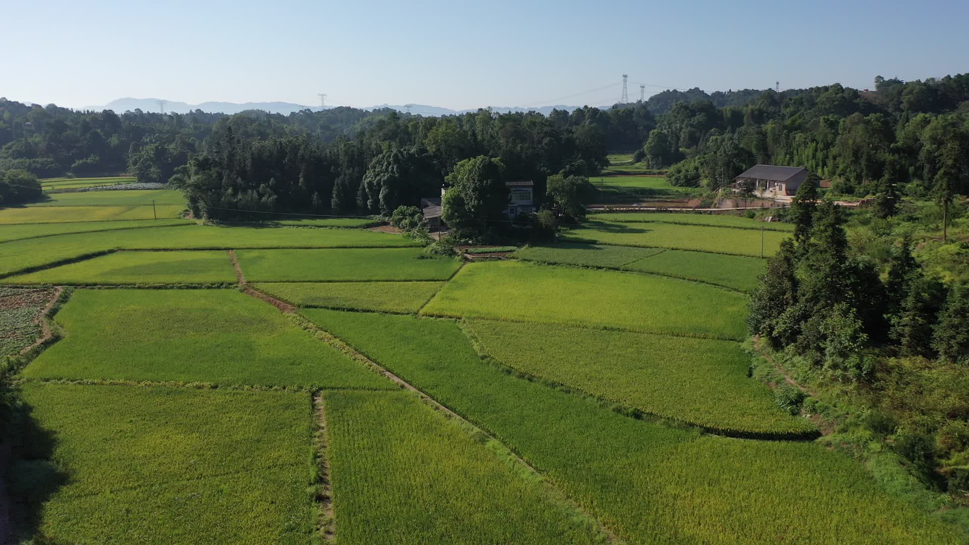 高标准农田稻田基地航拍视频的预览图
