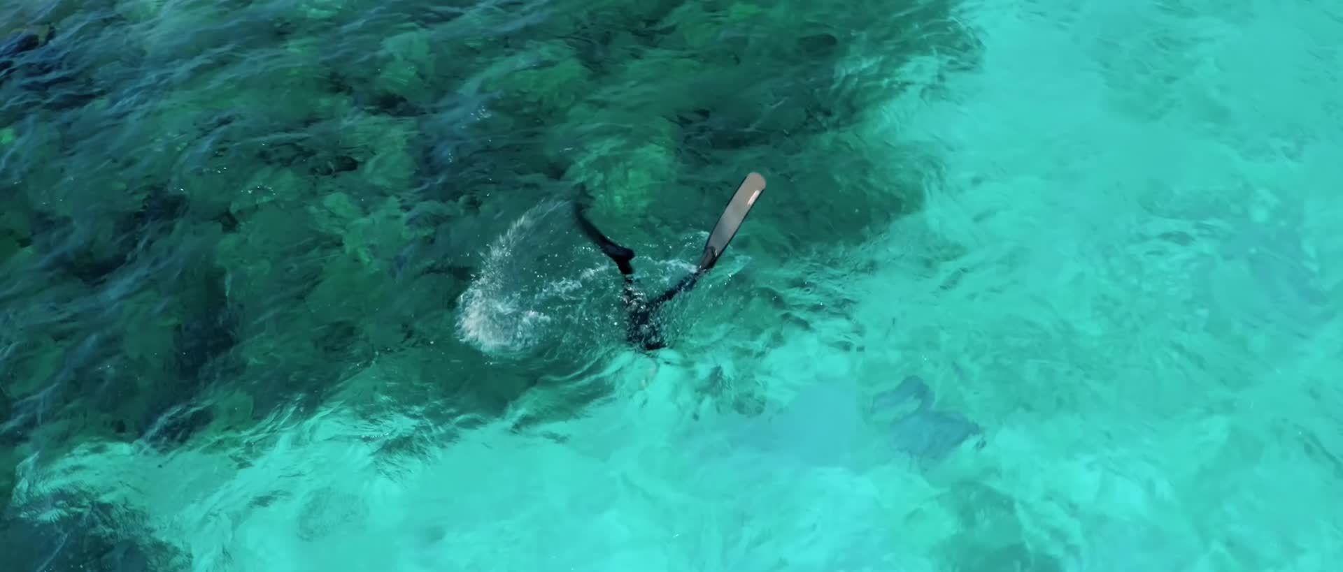 夏季热带水肺潜水潜水员视频的预览图