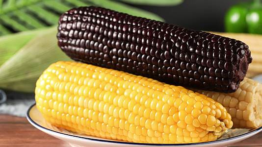 黑玉米白玉米黄玉米农产品高清实拍4k视频
振兴乡村视频的预览图