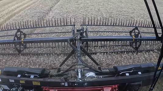 农村现代机械化收割机收割小麦视频的预览图