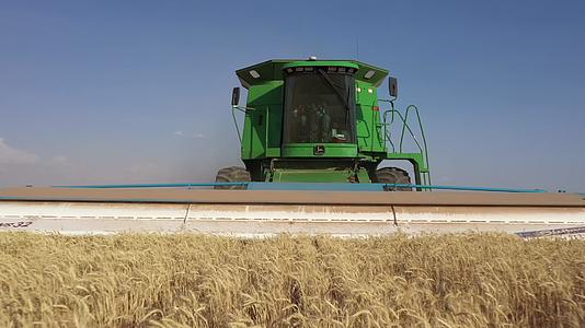农村现代机械化收割小麦丰收视频的预览图