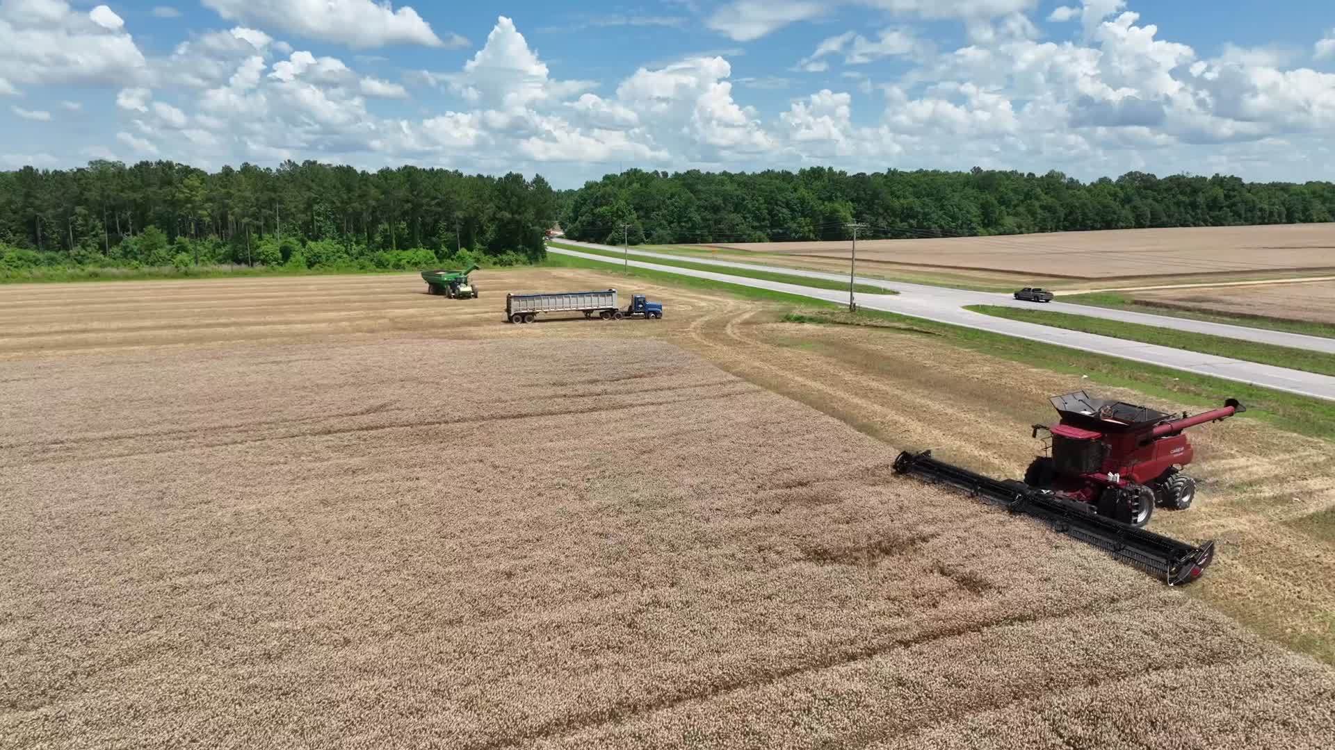 农村机械化收割小麦航拍合集视频的预览图